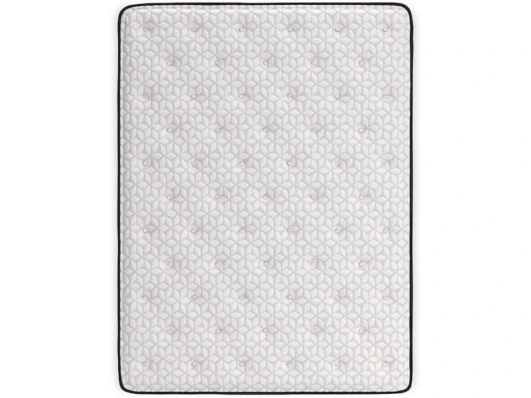Limited Edition PT Queen Mattress M41231